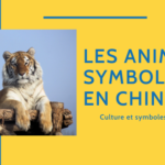 La Signification des Animaux en Chine // Symboles Thumbnail