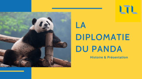 La Diplomatie du Panda, Présentation & Explications 🐼 Thumbnail