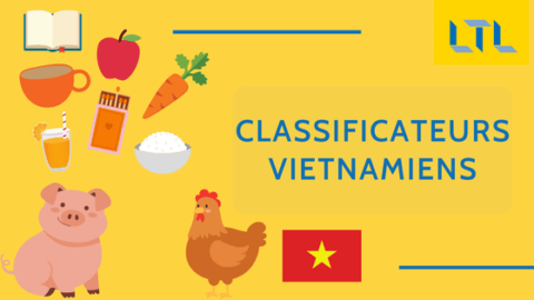 Les Classificateurs Vietnamiens // Pourquoi & Comment ? Thumbnail